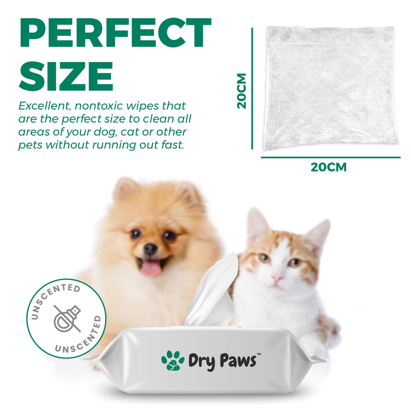 Extra Large Compostable Pet Wipes - 100 Pack (20cm x 20cm) - Dry Paws